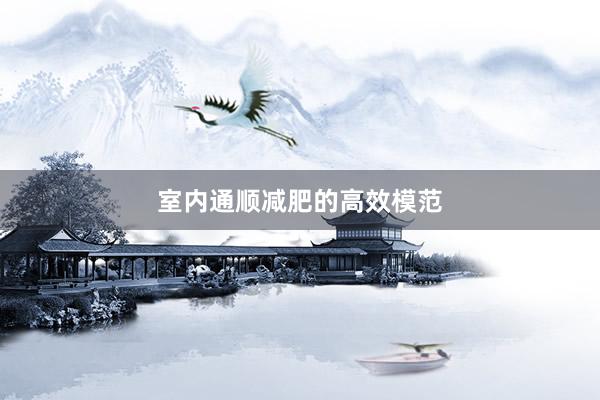 室内通顺减肥的高效模范