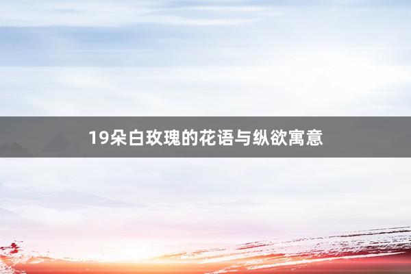 19朵白玫瑰的花语与纵欲寓意
